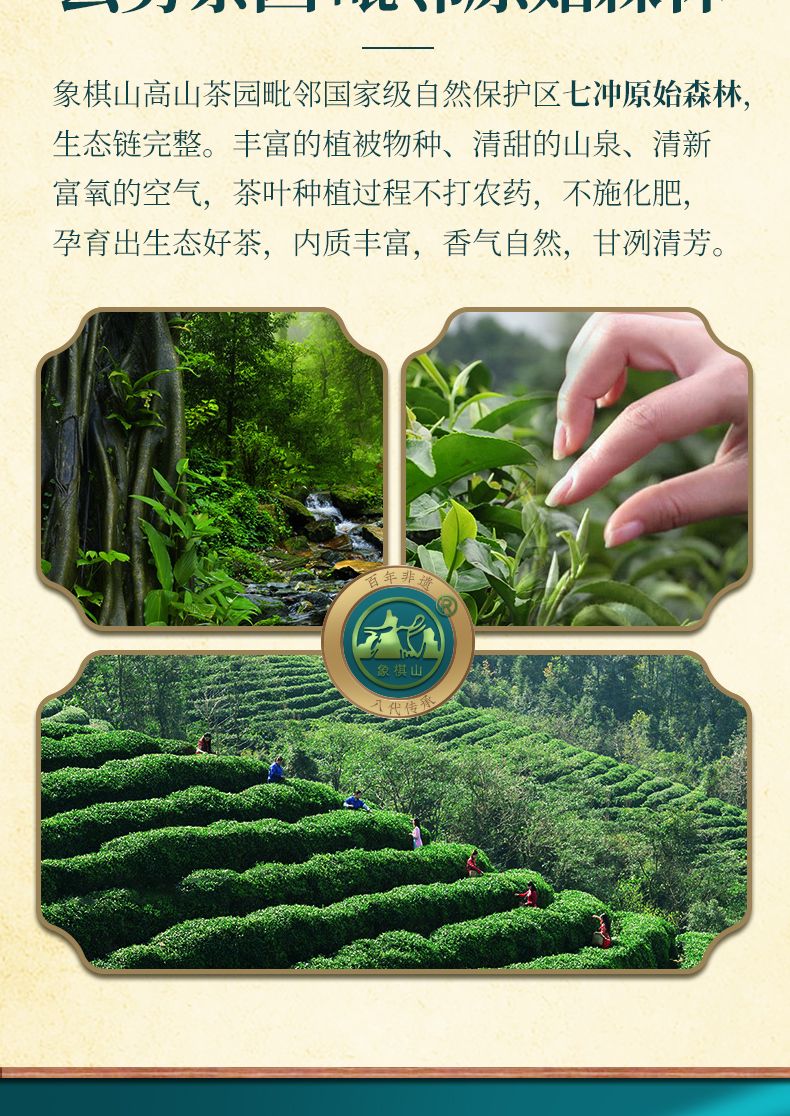 红螺茶简介图片